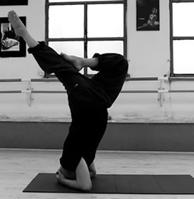 Master Yoga Teacher Paolo Proietti
