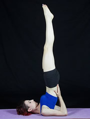 Yoga Asana - Sarvangasana