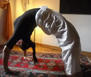 Yoga Asana - Urdhva Dhanurasana