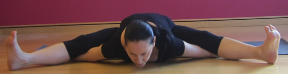 Yoga Asana - Ashtanga Tortoise